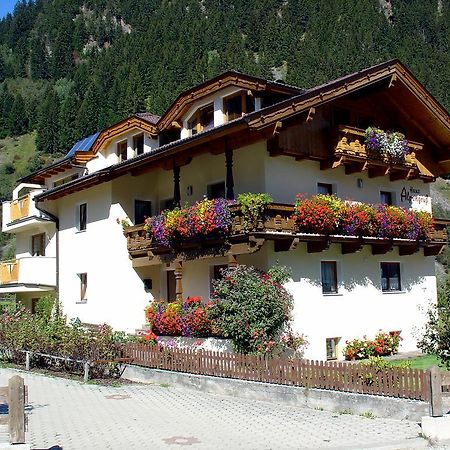 Apartament Haus Alpengruss Neustift im Stubaital Zewnętrze zdjęcie